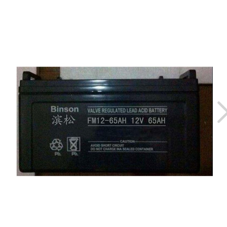 供应滨松蓄电池FM38-12铅酸免维护机房UPS应急电源12V38AH厂家直销