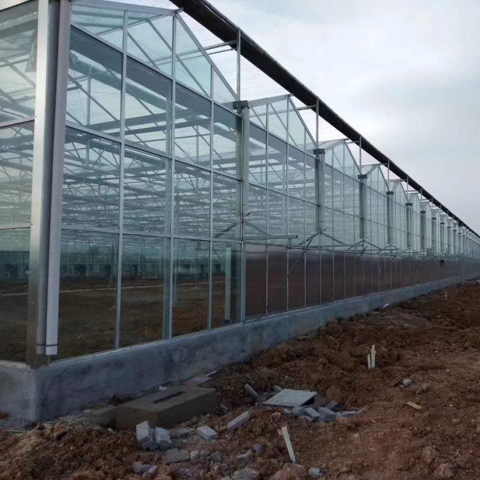 博伟 玻璃温室 花卉玻璃温室大棚 蔬菜种植玻璃大棚