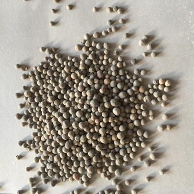 郑州安禄BAF生物多孔陶粒滤料 有效挂膜生物多孔陶粒滤料图片