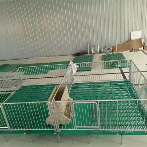 保育床 猪用保育床 小猪保育床 仔猪保育床 保育床生产厂家图片