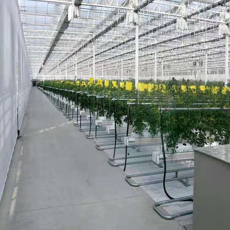 玻璃温室 蔬菜育苗大棚 连栋玻璃温室 玻璃大棚温室 厂家生产设计