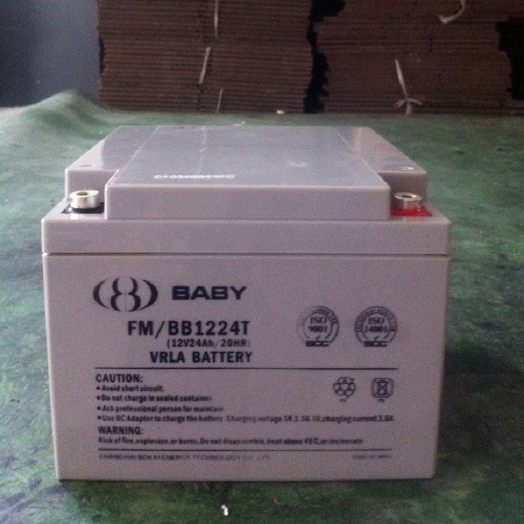 上海BATA鸿贝蓄电池FM/BB1224T厂家直销12V24AH应急后备电池 原装鸿贝电池