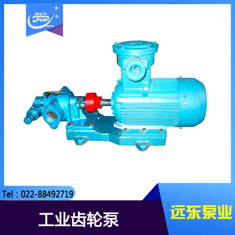 KCB83.3齿轮泵 工业齿轮泵 工业泵 齿轮泵厂家 不锈钢齿轮泵