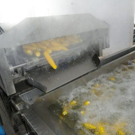 玉米预煮漂烫流水线 玉米预煮机漂烫机 鲜玉米包装前自动漂烫机图片
