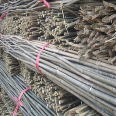 京西竹业厂家批发2020年优质番茄架杆  园林搭架竹杆