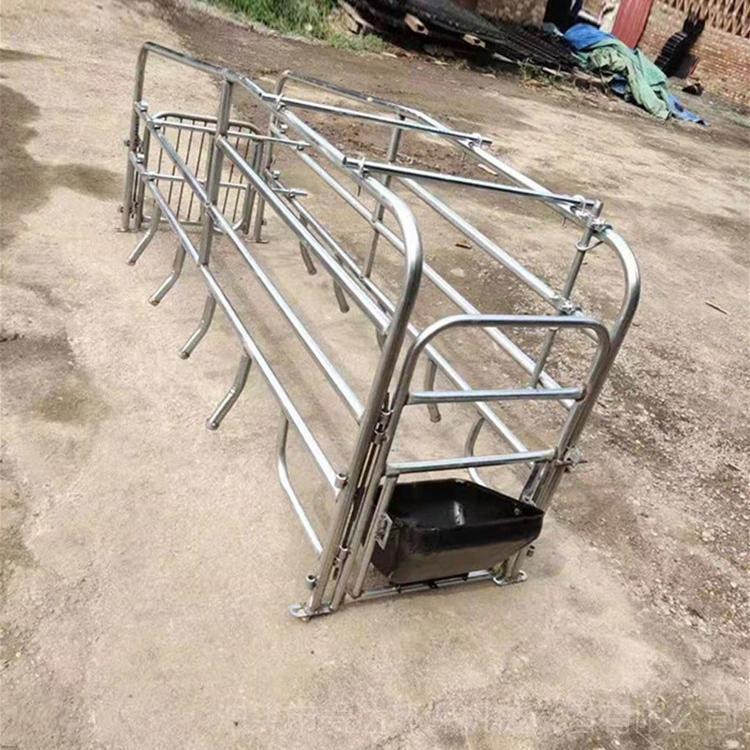 母猪产床  养猪设备 定位栏  爱达供应 猪厂设备 不锈钢食槽