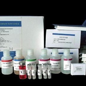 大鼠钙调磷酶ELISA试剂盒 CaN试剂盒 CaN ELISA图片