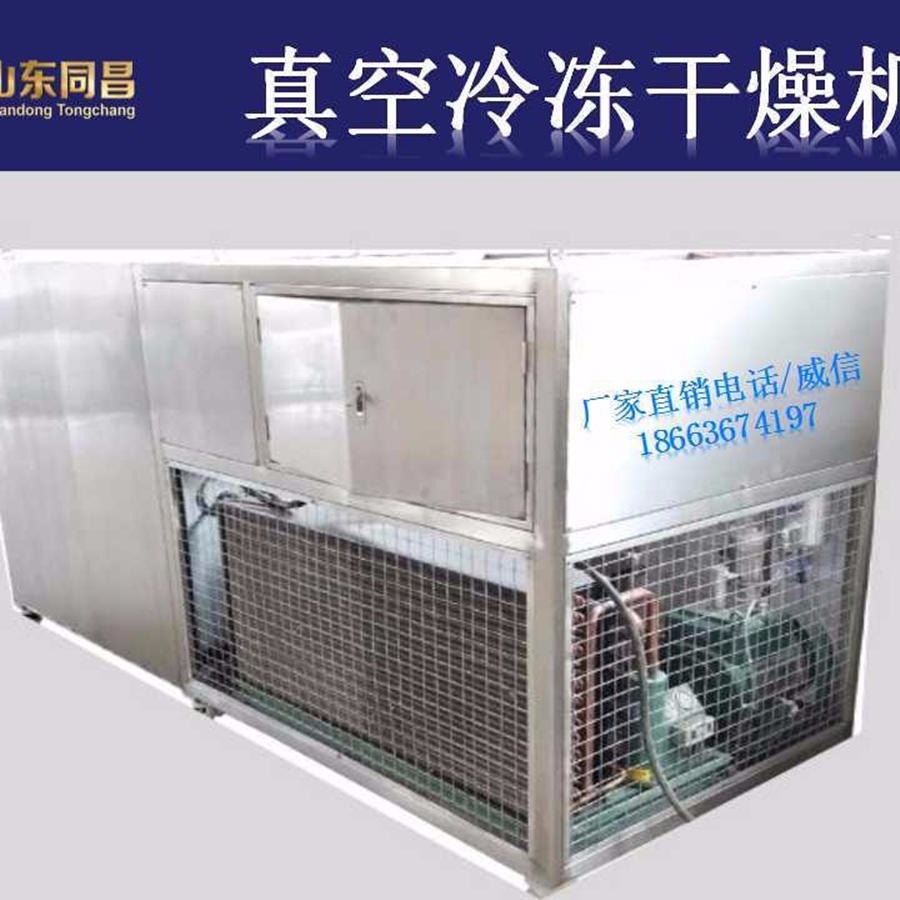 大型真空冷冻干燥机  食品冻干机宠物冻干机现货 	冷冻干燥机价格 原理