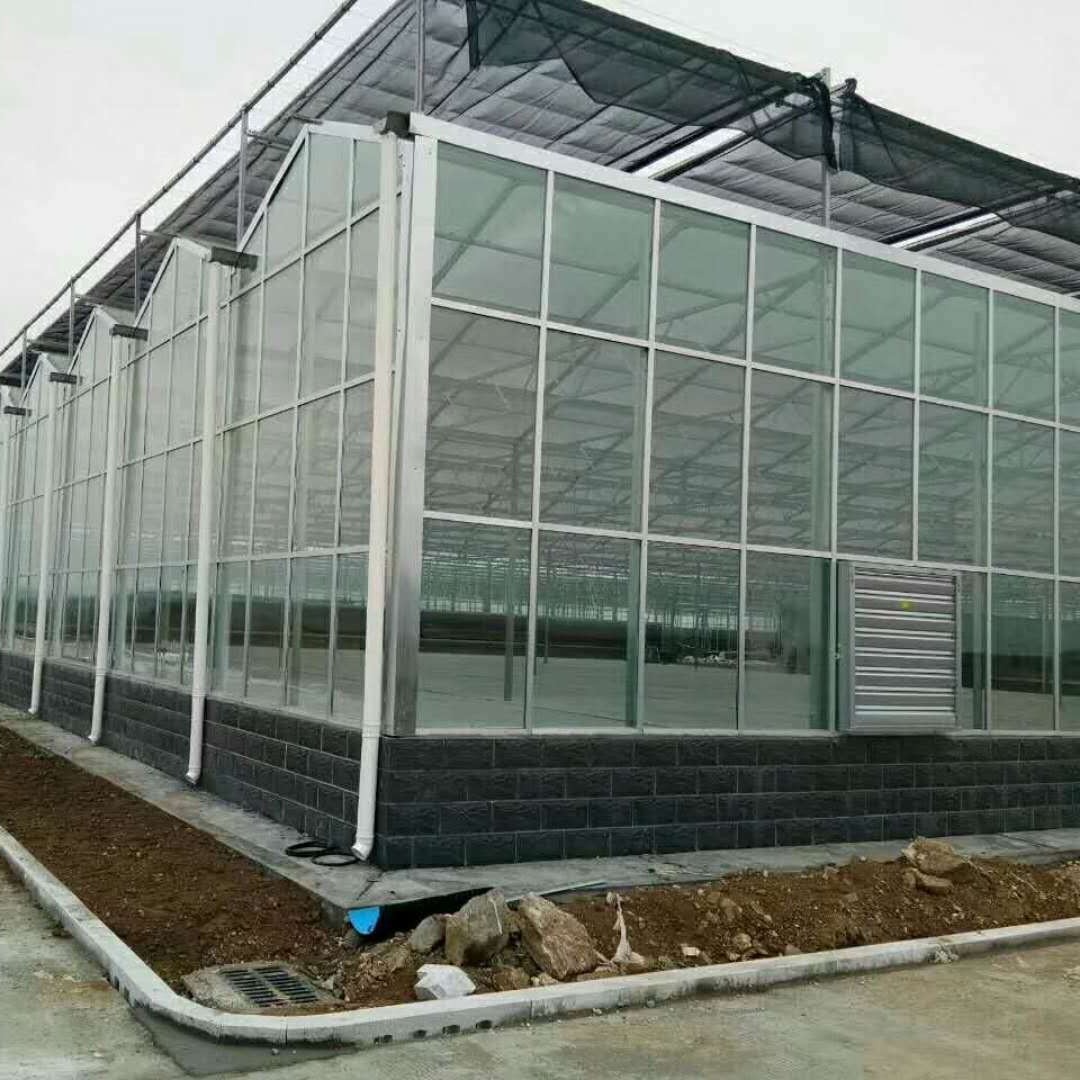 博伟  现代化玻璃温室 种植玻璃温室大棚 建造玻璃温室价格