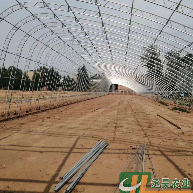 丞昊农业供应 青岛 蔬菜种植 C型钢温室 抗风抗压