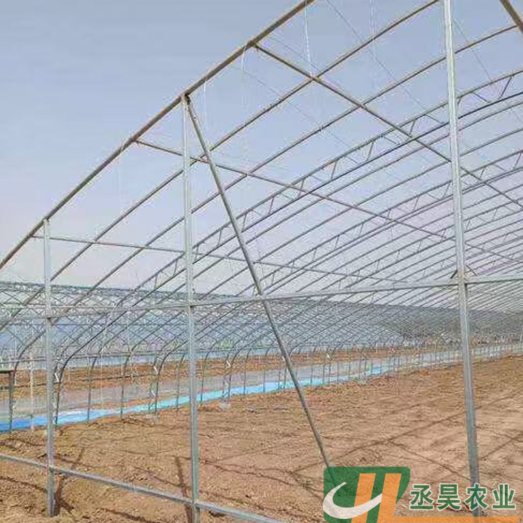 丞昊农业供应 江西 草莓种植 新型双膜大棚 专业设计