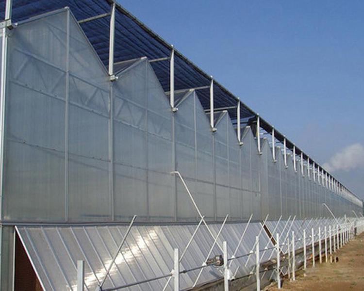 鑫泽育苗无土栽培玻璃温室厂家 现代化玻璃温室大棚建设 简易玻璃温室 可移动天窗